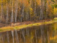 -北极村旅游风景区