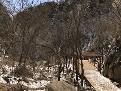 -大岭沟猕猴桃谷风景区