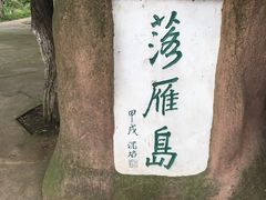 -东湖落雁景区
