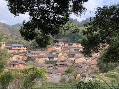 -杨家堂村