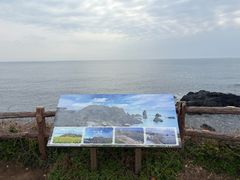 -涉地可支