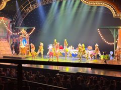 -巴黎迪士尼乐园