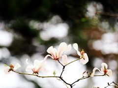 -地坛公园