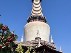 -张掖大佛寺景区