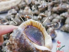 -天津金元宝滨海农产品交易市场(共发大道)