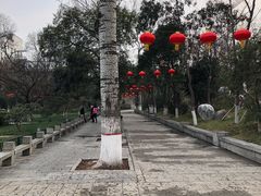 -莲湖公园