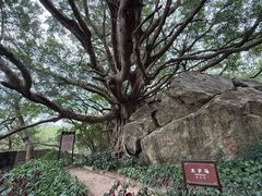 -宋井风景区