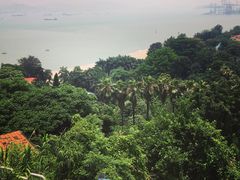 绿化-鼓浪屿琴海庄园海景酒店