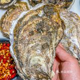 来武汉天地我唯一推荐的。。海鲜烧烤❗
