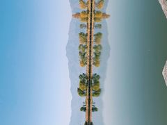 -野鸭湖国家湿地公园