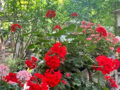 -凤来栖·净庭院·火锅(欧尚店)