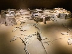 -洛阳周王城天子驾六博物馆