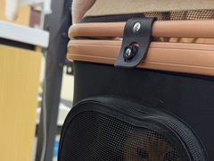 -美联众合动物医院·24h转诊中心