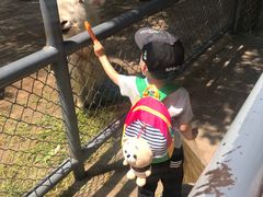 -长白岛森林公园