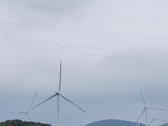 -御道口草原森林风景区