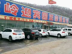 -庆岭迎宾园正宗活鱼馆