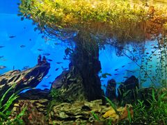 -太平洋海底世界