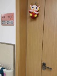 -上海市嘉定区妇幼保健院