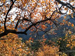 -香山公园-东宫门售票处