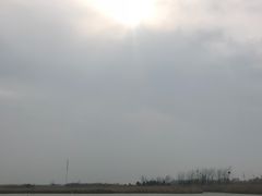 -盐城丹顶鹤湿地生态旅游区