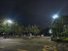 -东莞市大岭山森林公园