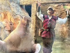-波塞冬旅游度假区