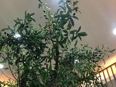 -东升灌浆包(辛庄街总店)
