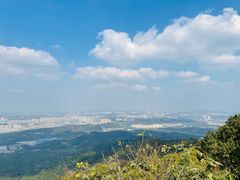 -紫金山山顶公园