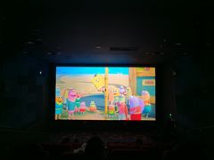 -龙之星国际影城(太平店)