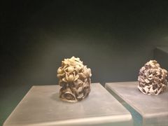-甘肃省博物馆