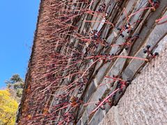 -天津盘山风景名胜区