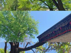 -常家庄园