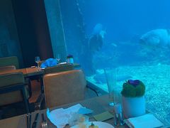 -涛·海底餐厅·美人鱼·自助餐·海底隧道(三亚海棠湾洲际度假酒店)