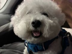 -乖乖宠物医院·猫科·骨科·24小时(云岗分院)