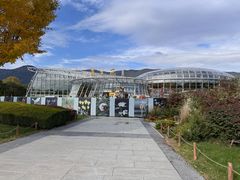 -北京植物园-展览温室