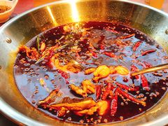 -红牌美蛙鱼头火锅(万辉国际广场店)