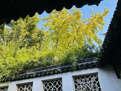 -西园戒幢律寺