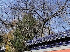 -潭柘寺景区