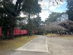 -醍醐寺