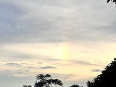 -深圳湾公园(南山区)