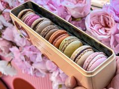 -Pierre Marcolini(德基广场店)
