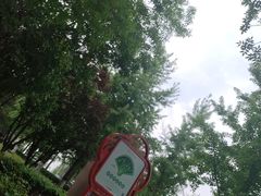 -大兴滨河森林公园