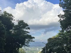 -黄埔油麻山森林公园