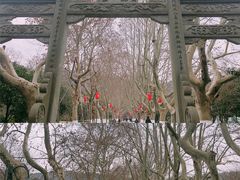 -杭州黄龙洞