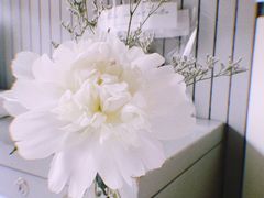 餐具摆设-蝶舍·MAISON PAPILLON