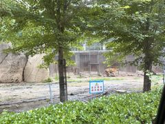 -秦皇岛野生动物园