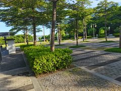 -深圳湾公园(南山区)