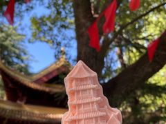 -狼山风景名胜区