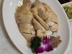 -津津菜馆(绝没分店)
