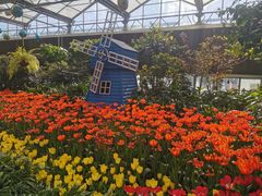 -南宫五洲植物乐园